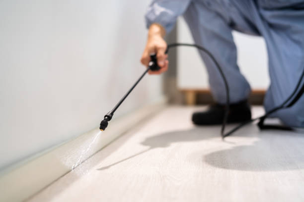 Licensed Bed Bug Control service in Oakwood, GA - Nex Pest Control