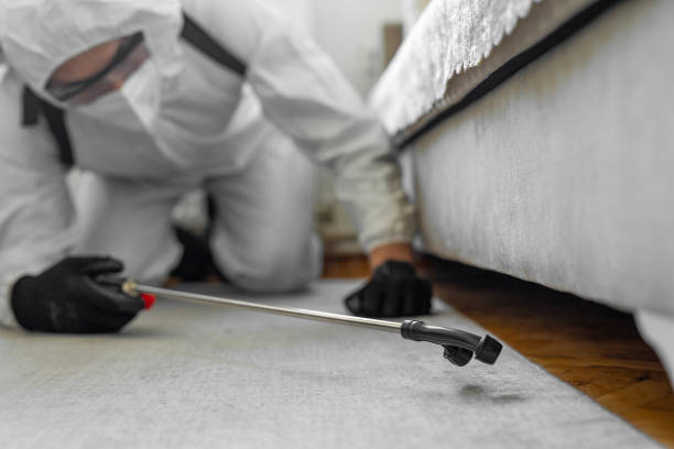 Professional Bed Bug Control technician working in Oakwood, GA