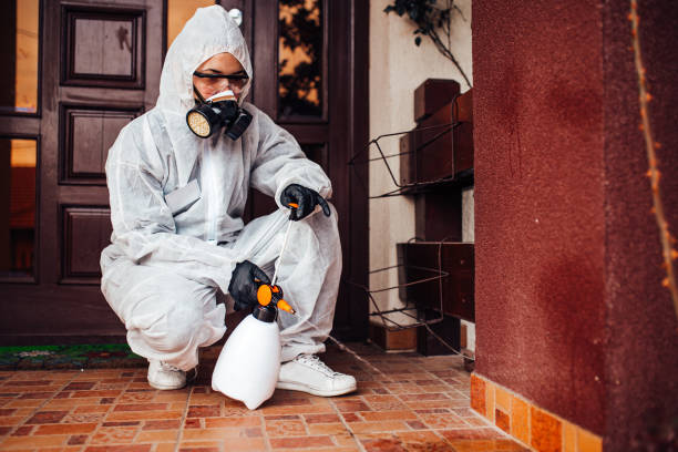 Reliable Bed Bug Control contractor in Oakwood, GA by Nex Pest Control