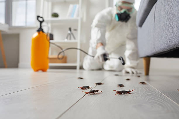 Trusted Cockroach Control service in Oakwood, GA - Nex Pest Control
