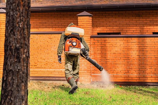 Trusted Termite Control service in Oakwood, GA - Nex Pest Control